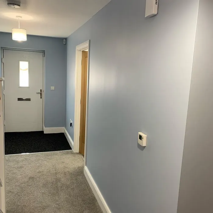 Dulux Frosted Lake hallway paint review Dulux Frosted Lake hallway paint review