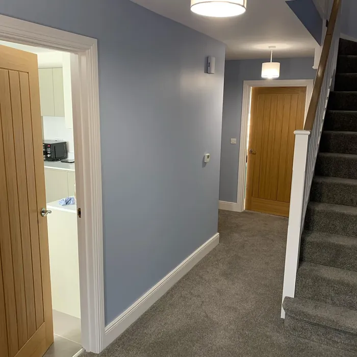 Dulux Frosted Lake hallway picture Dulux Frosted Lake hallway picture