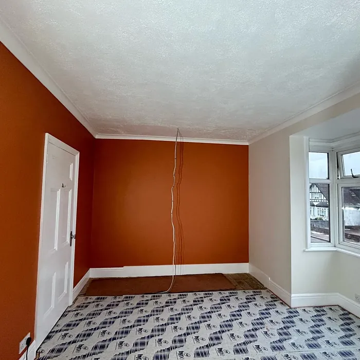 Dulux Frosted Papaya accent wall 