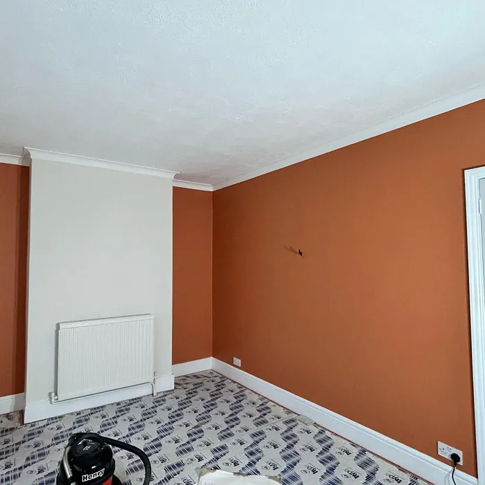 Dulux Frosted Papaya wall paint review