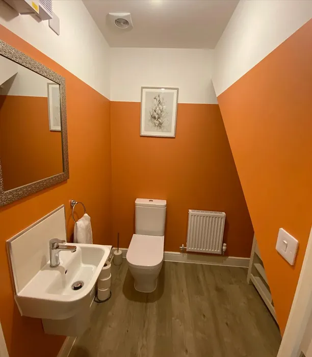 Dulux Frosted Papaya bathroom color