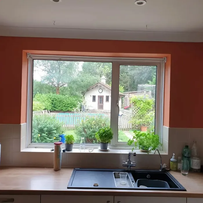 Dulux Frosted Papaya dining room paint