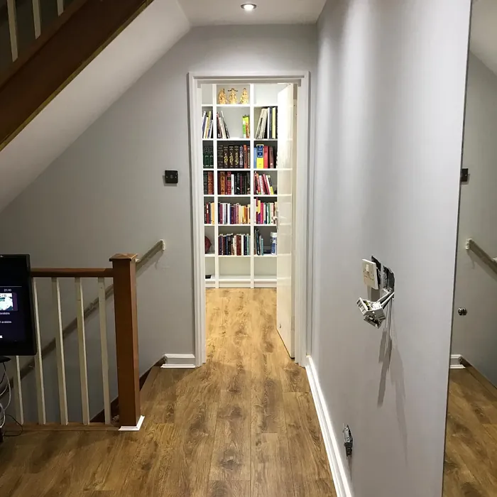 Dulux Frosted Steel hallway color