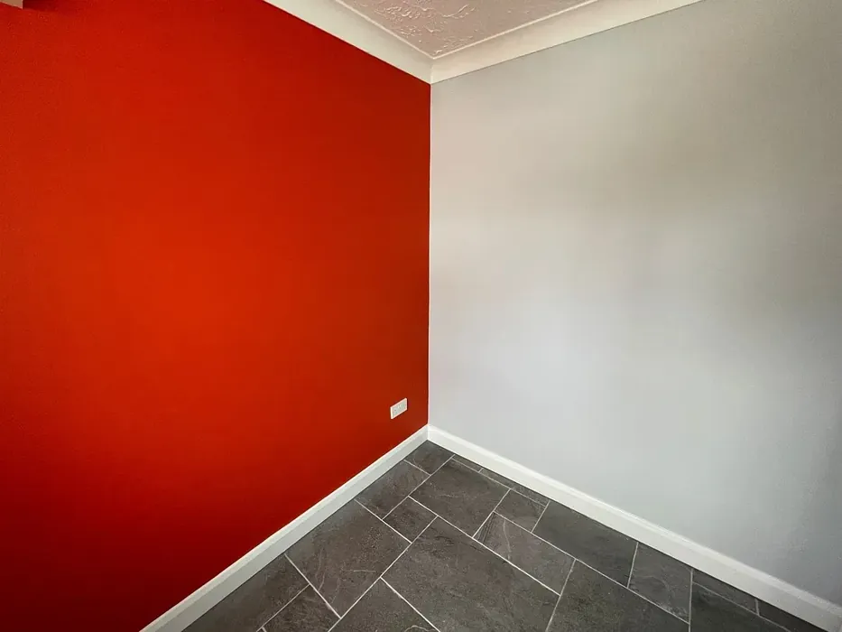 Dulux 30BB 72/040 wall paint picture