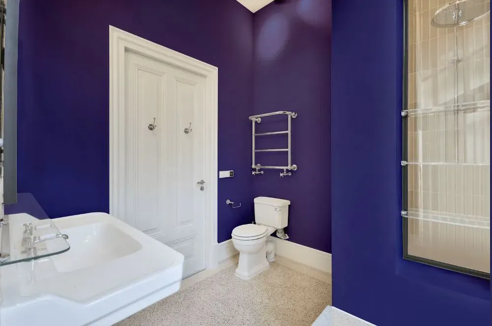 Sherwin Williams Fully Purple bathroom