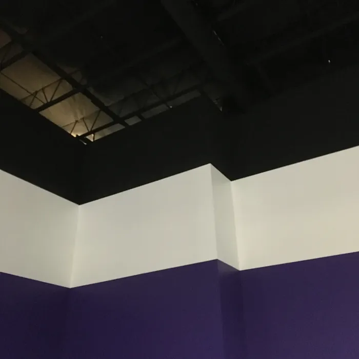SW Fully Purple wall paint 