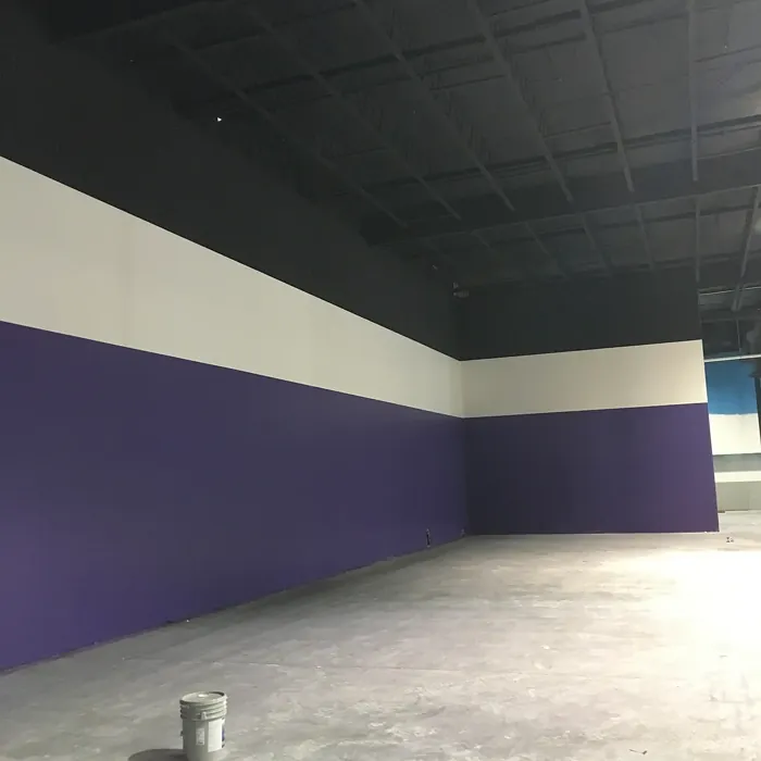 Sherwin Williams Fully Purple wall paint 