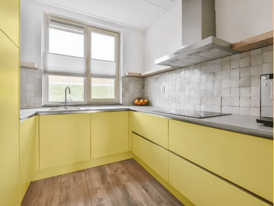 Sherwin Williams Fun Yellow small kitchen cabinets