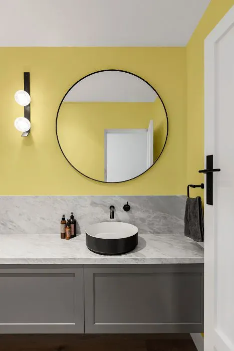 Sherwin Williams Fun Yellow minimalist bathroom