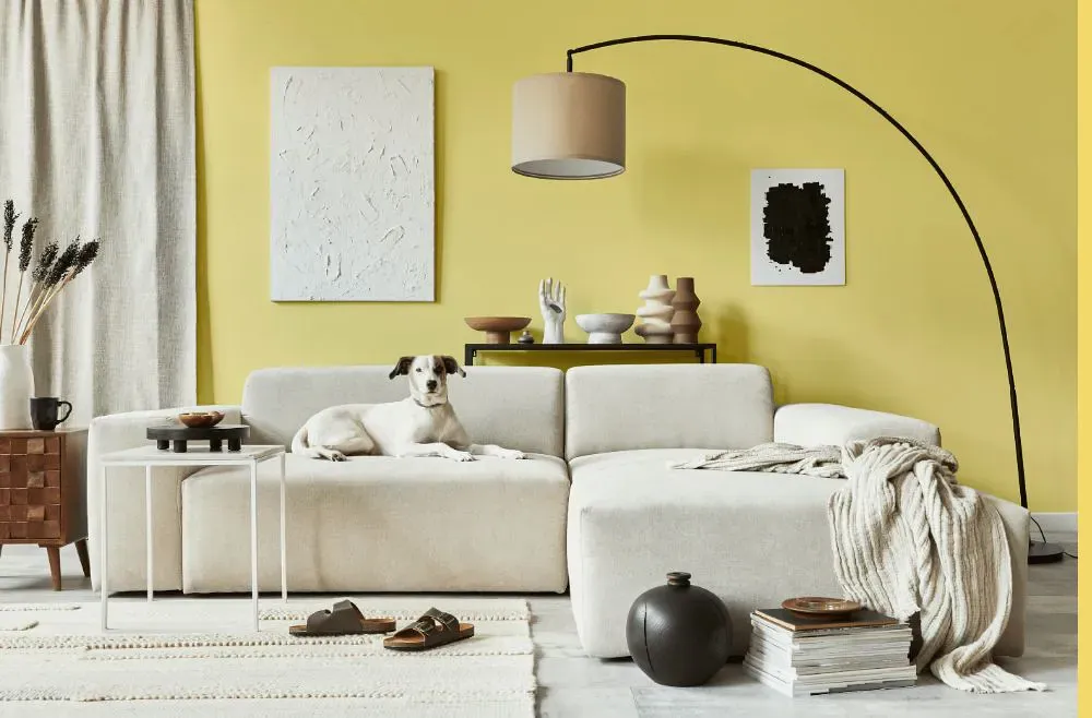 Sherwin Williams Fun Yellow cozy living room