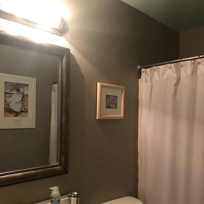 SW Functional Gray cozy bathroom paint review