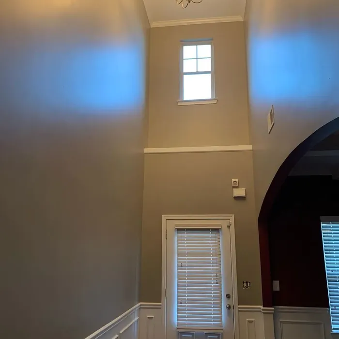 SW Functional Gray foyer wall paint color review