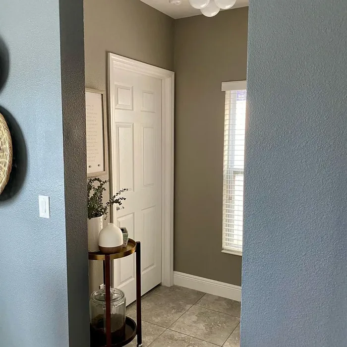 Sherwin Williams Functional Gray living room color