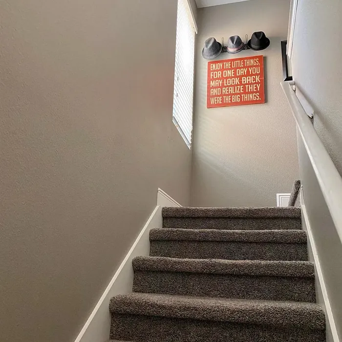 Sherwin Williams Functional Gray stairs inspiration