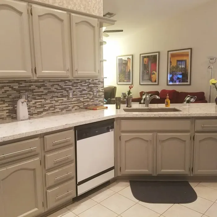 Functional Gray kitchen cabinets interior