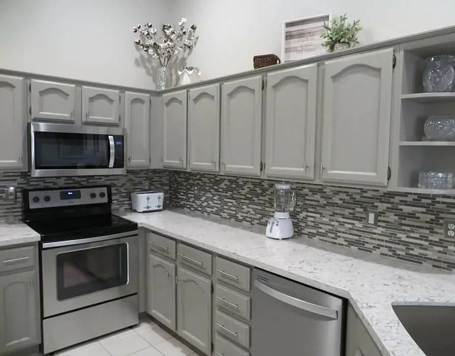 SW Functional Gray kitchen cabinets paint