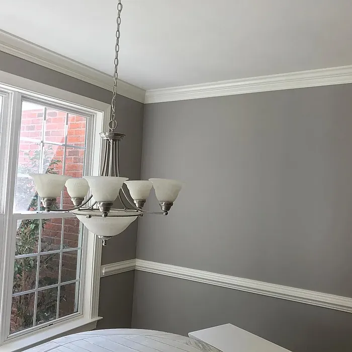 Sherwin Williams Functional Gray living room color review