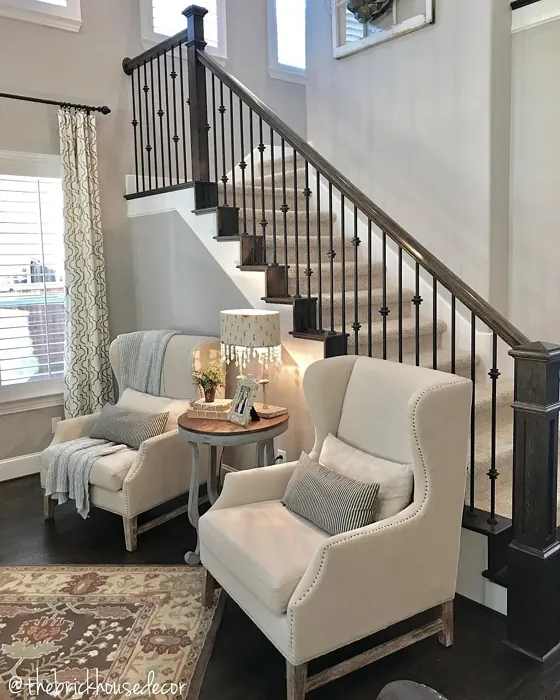 SW Functional Gray cozy stairs paint review