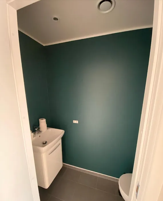 Jotun Fusion bathroom color review
