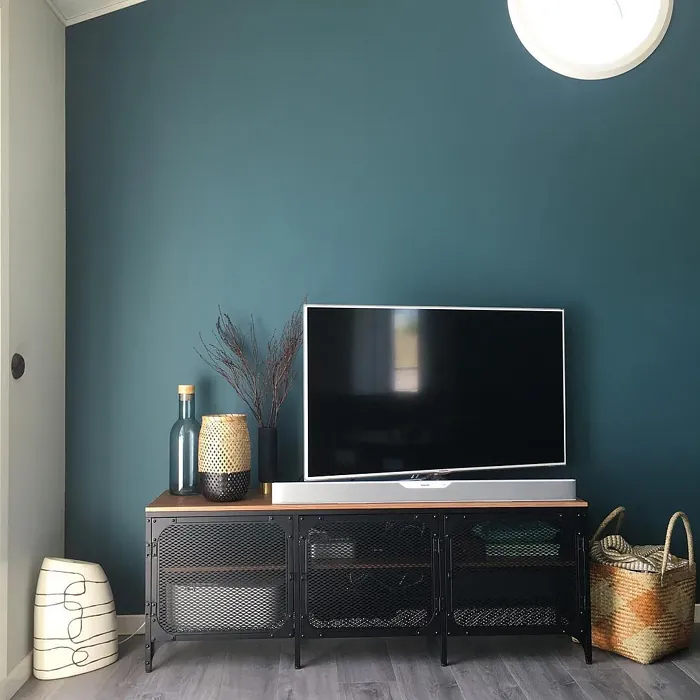 Jotun Fusion living room accent wall