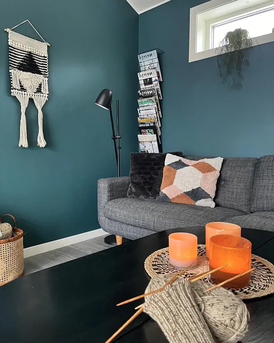 Jotun Fusion living room paint review