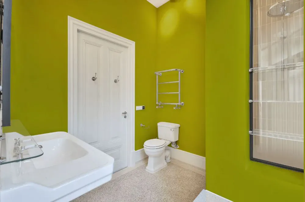 Sherwin Williams Fusion bathroom