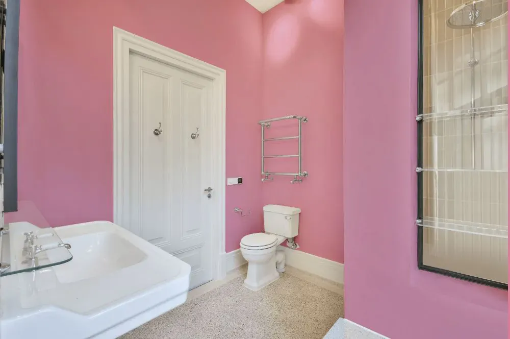 Sherwin Williams Fussy Pink bathroom