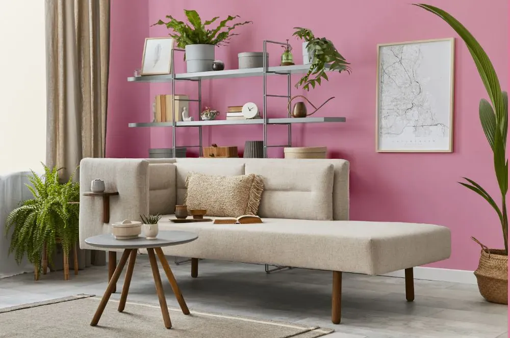 Sherwin Williams Fussy Pink living room