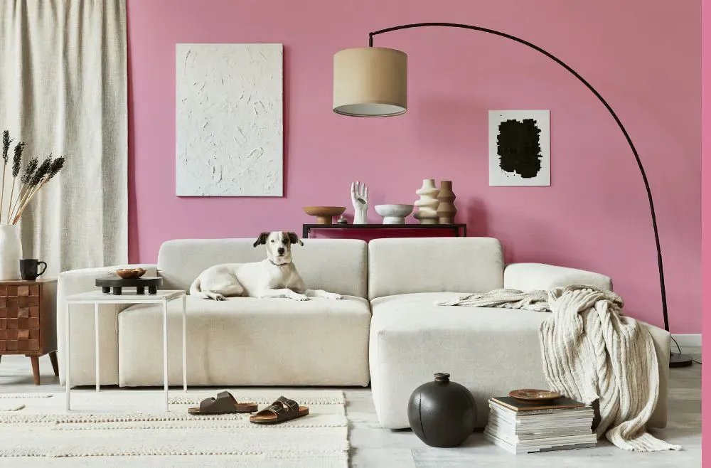 Sherwin Williams Fussy Pink cozy living room