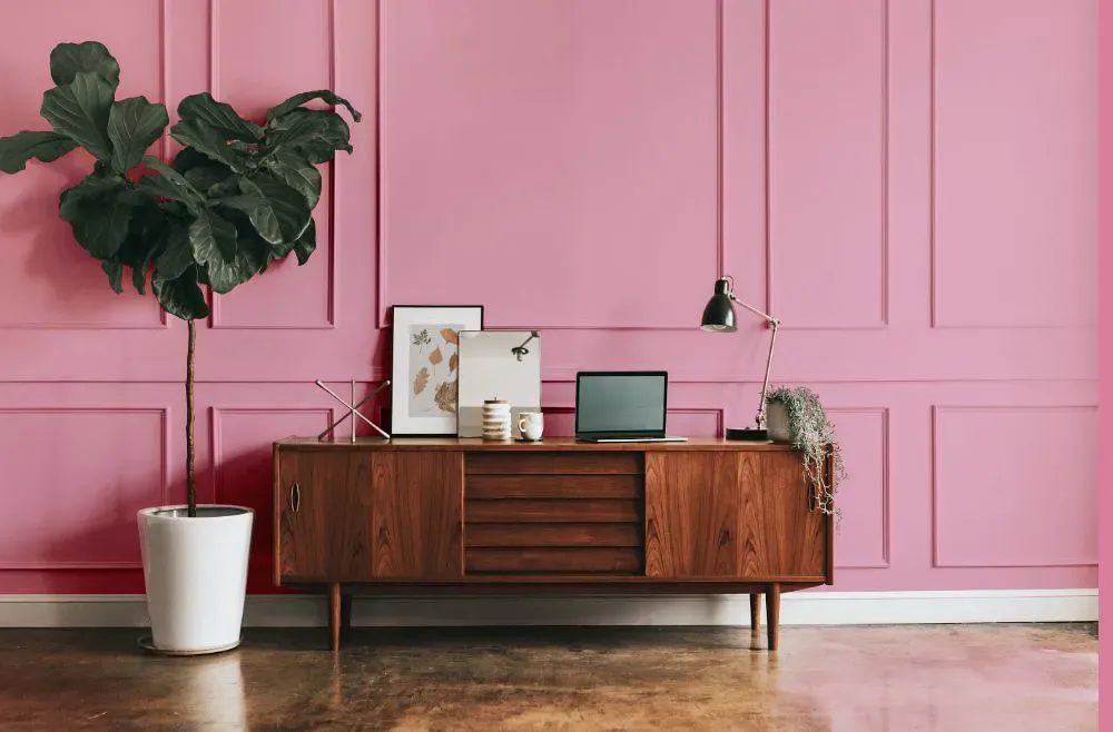 Sherwin Williams Fussy Pink modern interior
