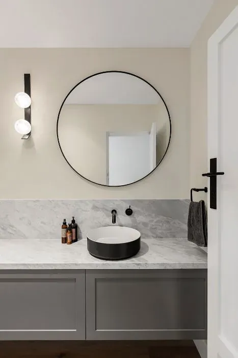 Sherwin Williams Futon minimalist bathroom
