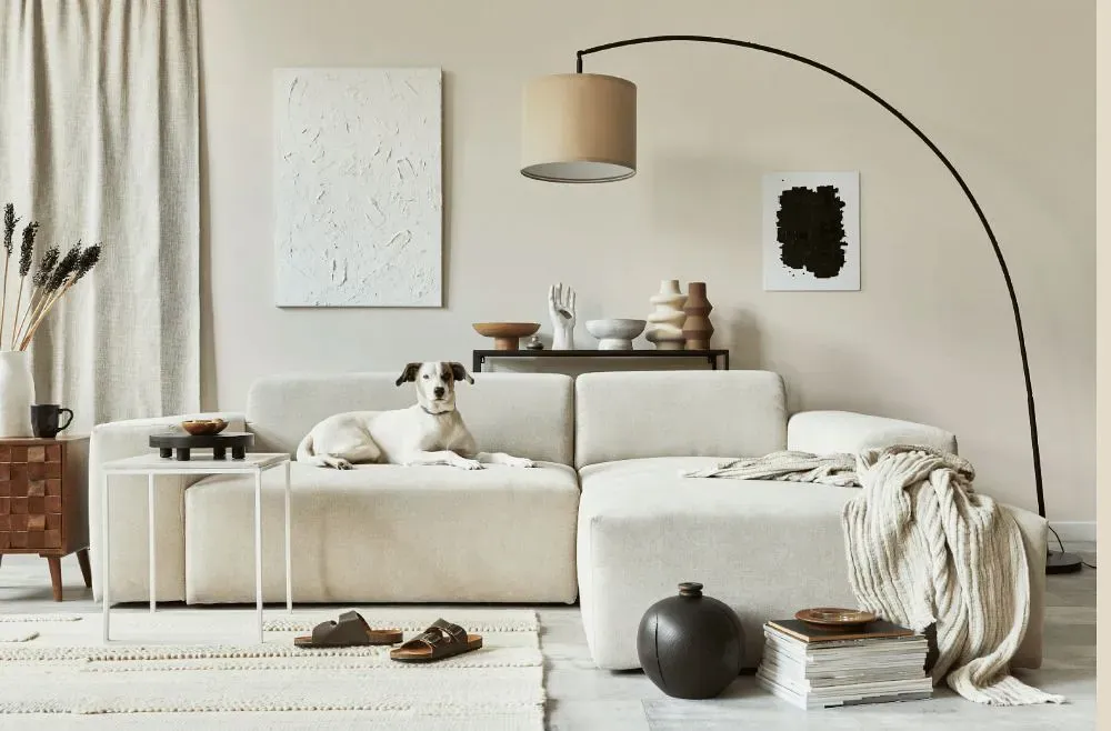 Sherwin Williams Futon cozy living room