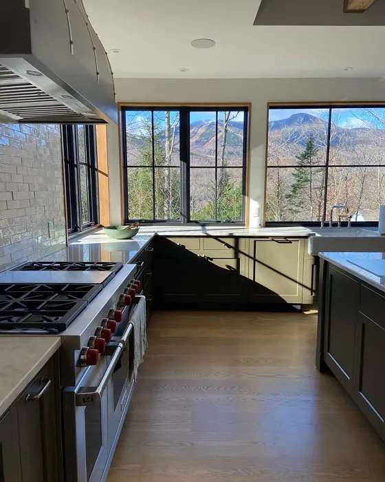 Sherwin Williams Garden Gate kitchen cabinets 