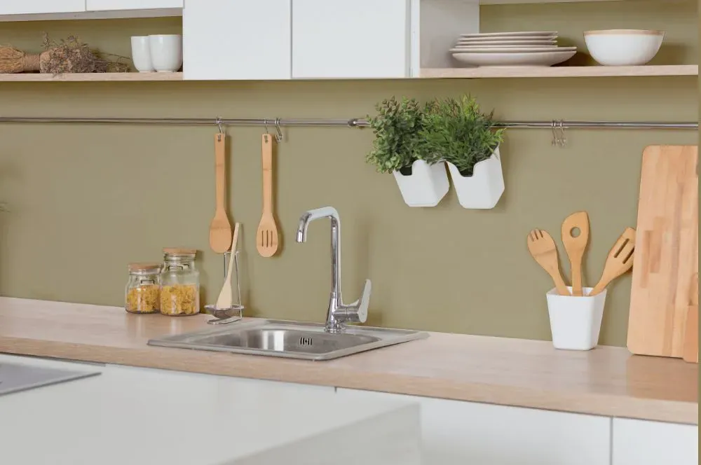 Sherwin Williams Garden Sage kitchen backsplash