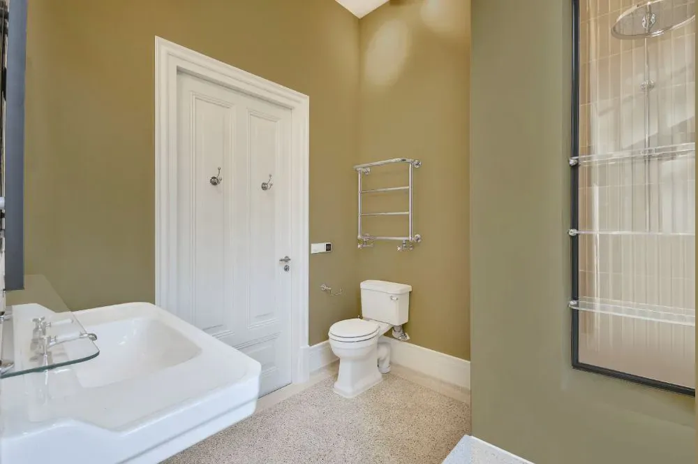 Sherwin Williams Garden Sage bathroom