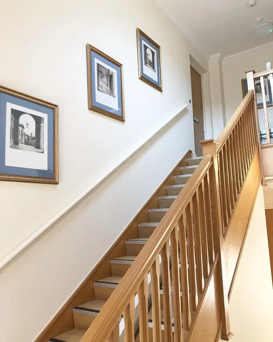 Dulux Gardenia stairs picture