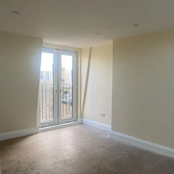 Dulux Vanilla Mist 2 wall paint 