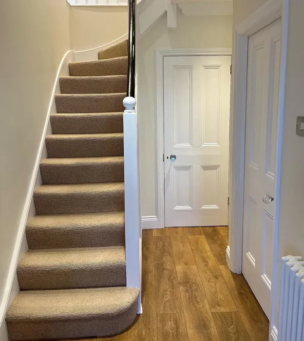 Dulux Gardenia hallway paint review