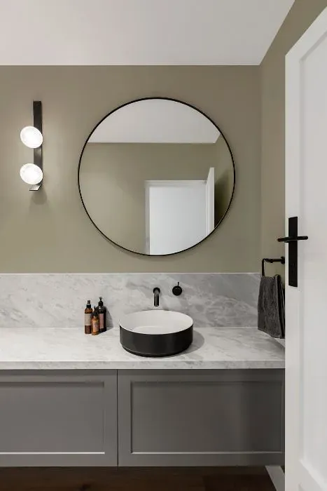 Sherwin Williams Gateway Gray minimalist bathroom