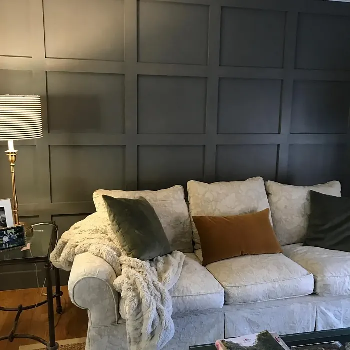 SW Gauntlet Gray living room panelling