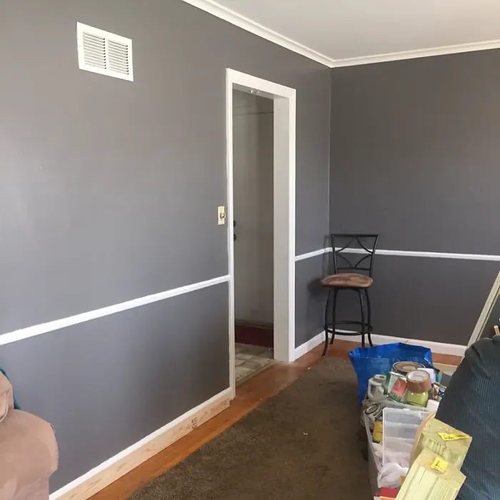 SW 7019 wall paint color