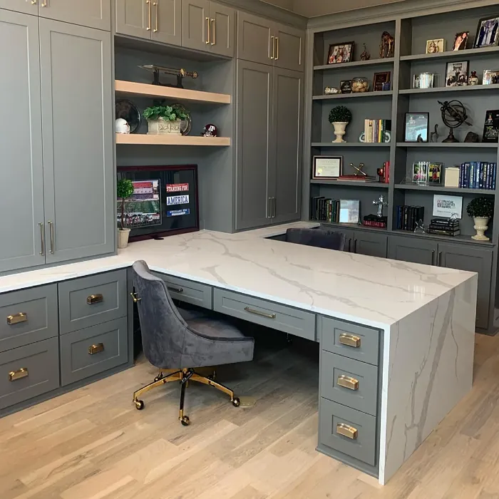 Gauntlet Gray home office color