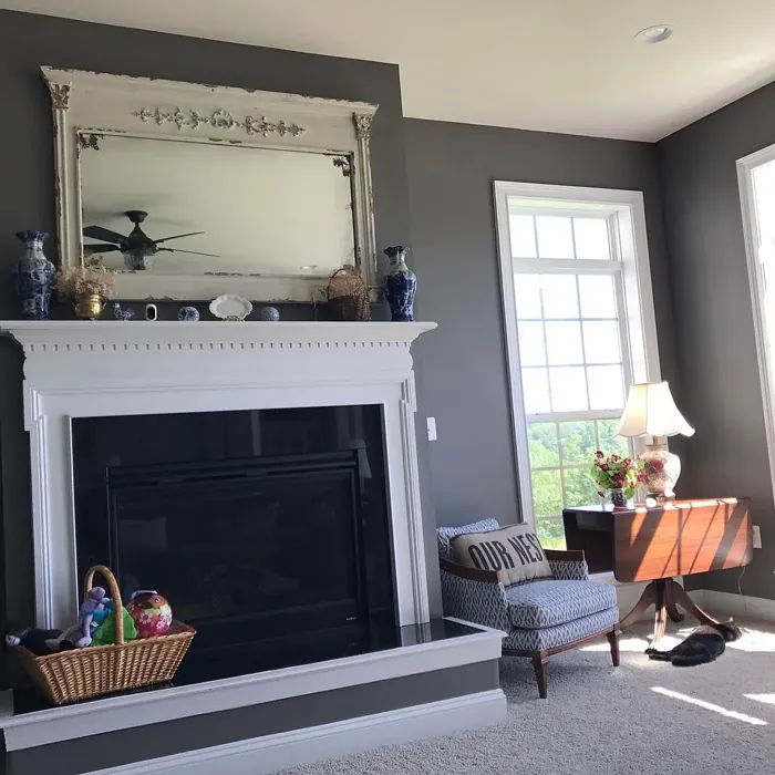 Gauntlet Gray victorian living room 