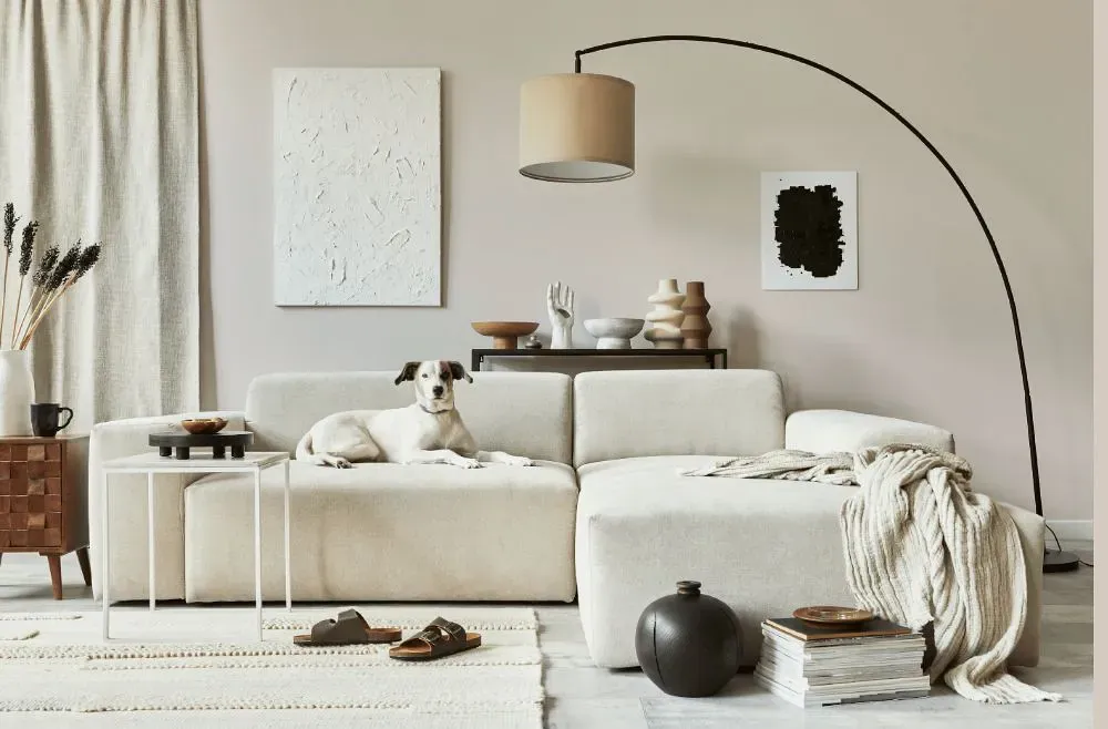 Sherwin Williams Gauzy White cozy living room