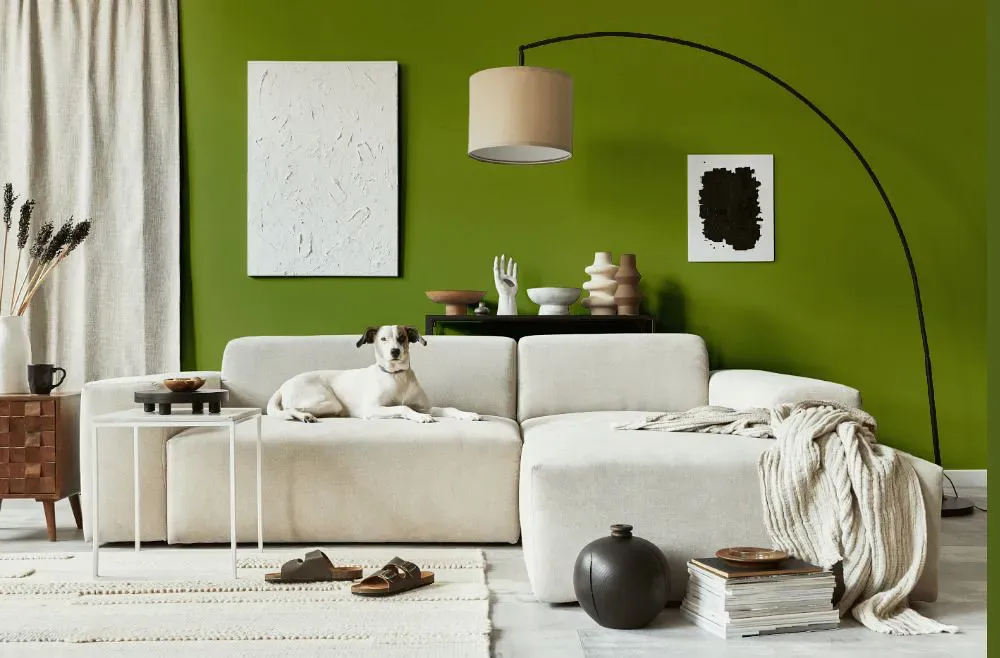 Sherwin Williams Gecko cozy living room