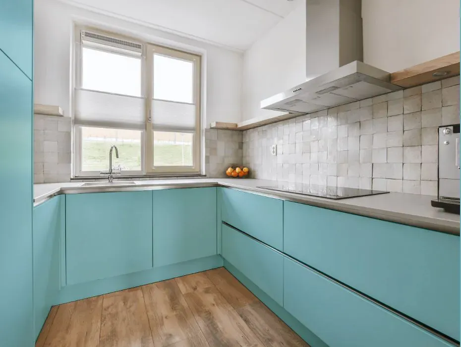 Sherwin Williams Gentle Aquamarine small kitchen cabinets