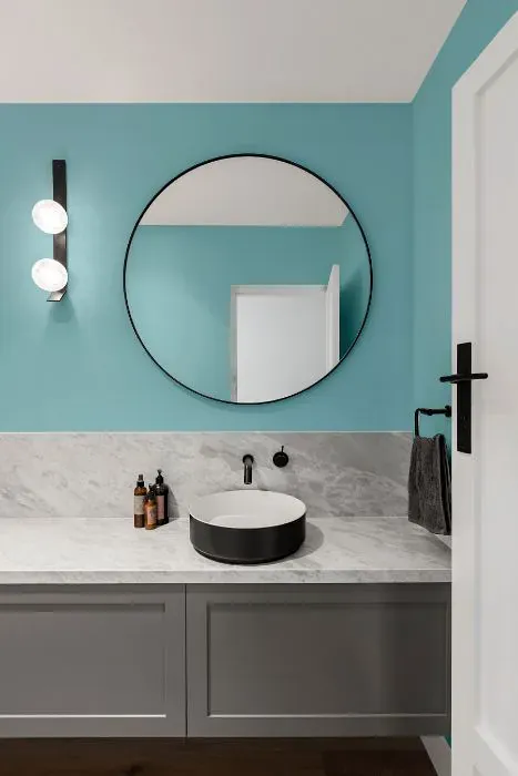 Sherwin Williams Gentle Aquamarine minimalist bathroom