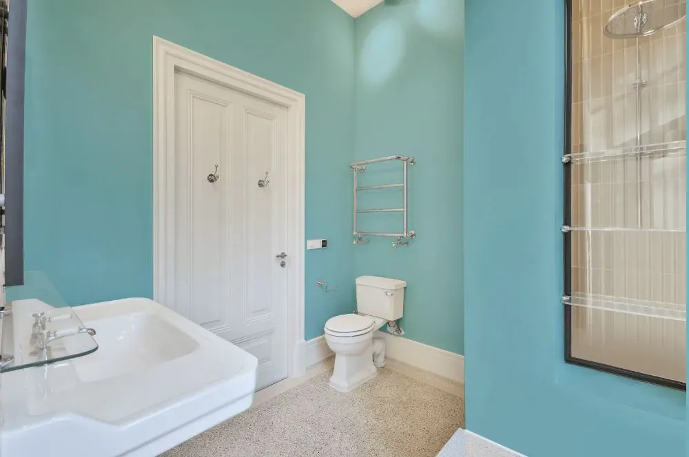 Sherwin Williams Gentle Aquamarine bathroom