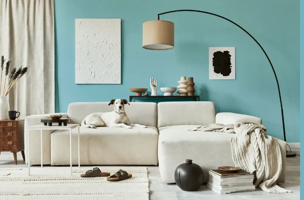 Sherwin Williams Gentle Aquamarine cozy living room