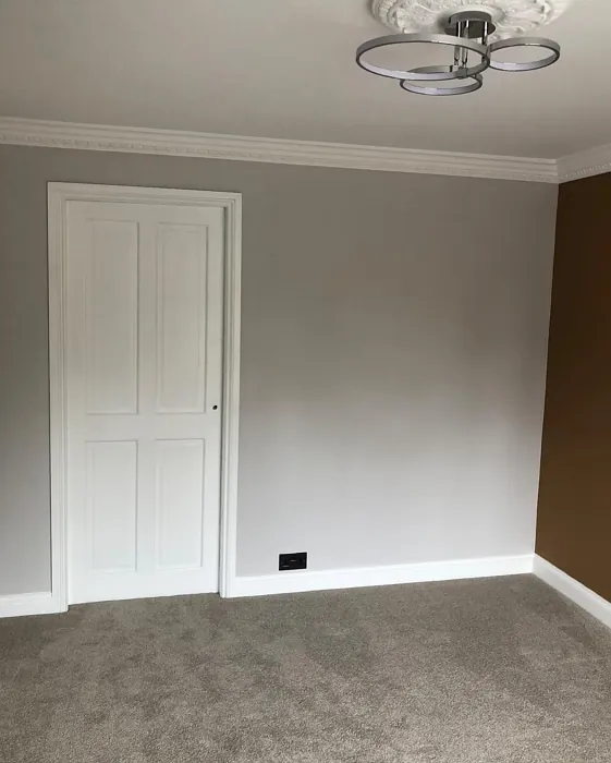 Dulux Gentle Moon wall paint review